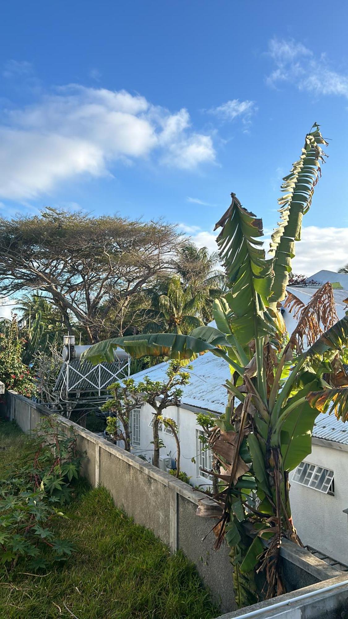 Coastal View Apartments Grand Baie Exterior photo